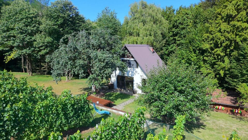 Property building, Spring, Day, Natural landscape, Garden, Garden view
