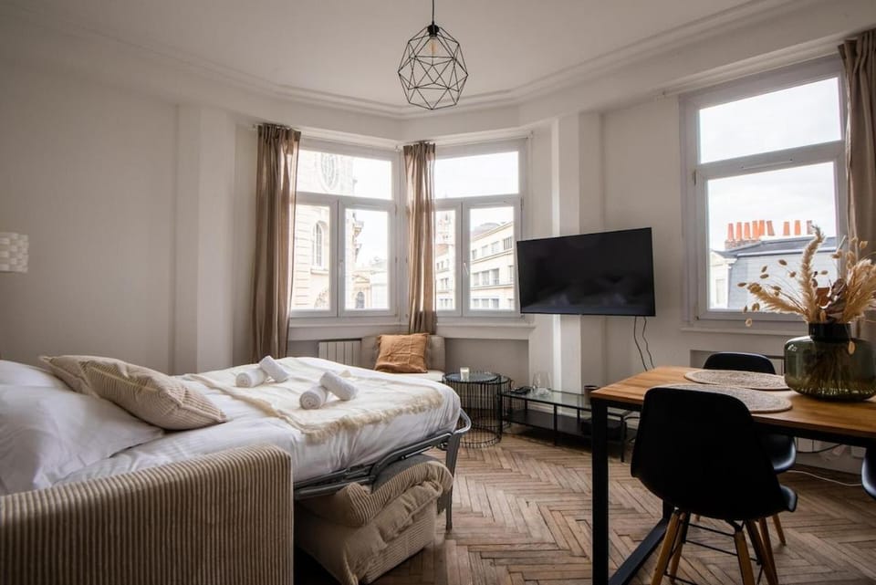 Magnifique appartement proche gare et centre ville Apartment in Lille