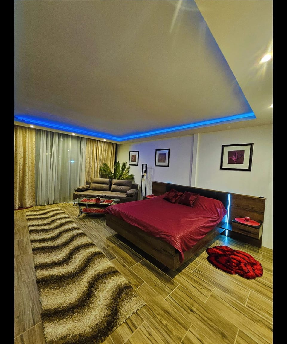 Bed, Living room, Photo of the whole room, Seating area, Bedroom