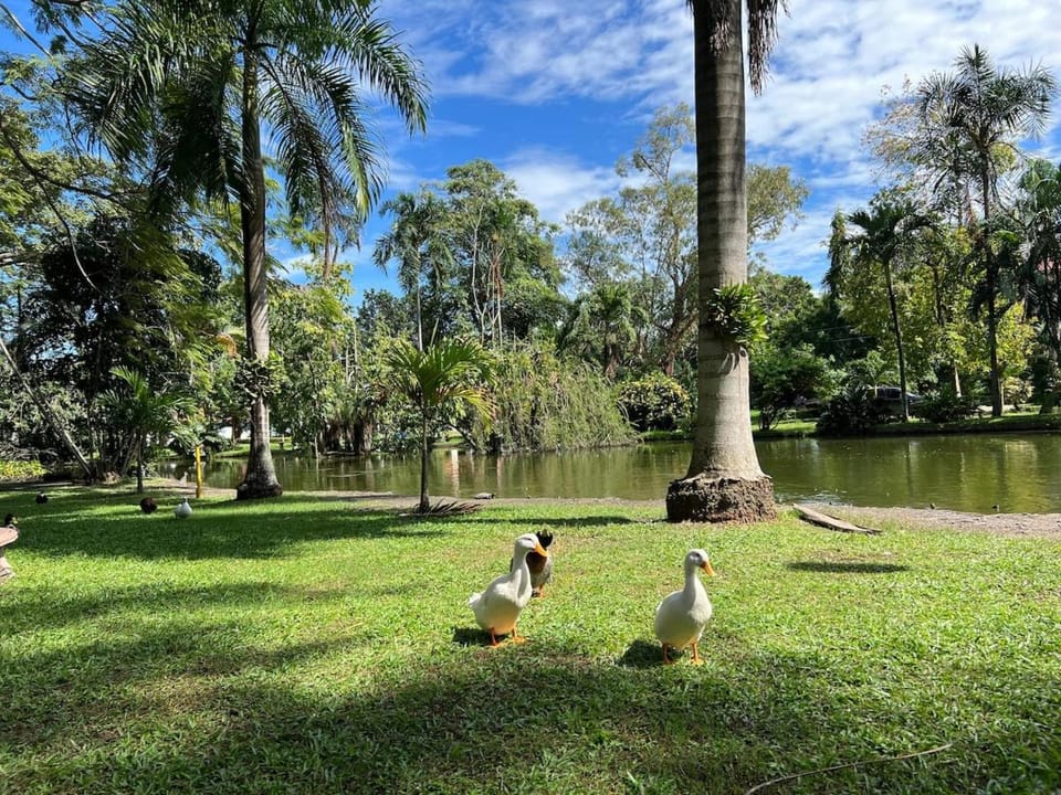 Private Guesthouse near Airport Apartment in San Pedro Sula