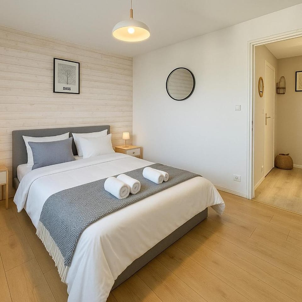 Bel appartement lumineux - quartier La Doutre - 4 personnes - Apartment in Angers
