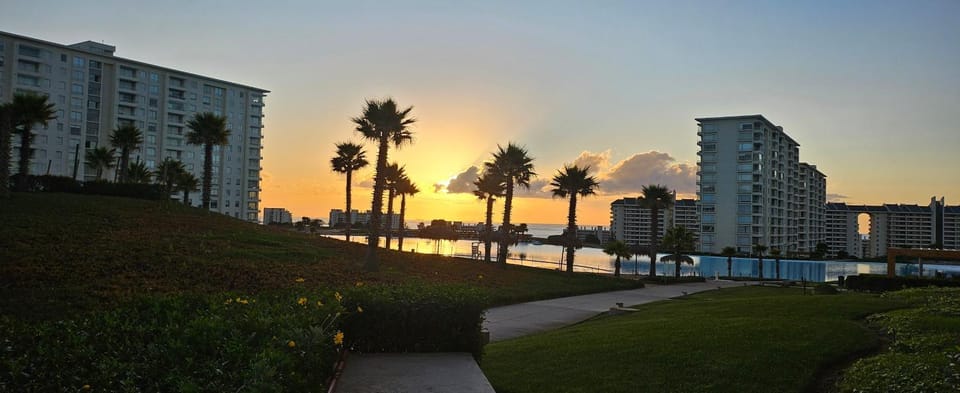 Natural landscape, Garden, Garden view, Sunset