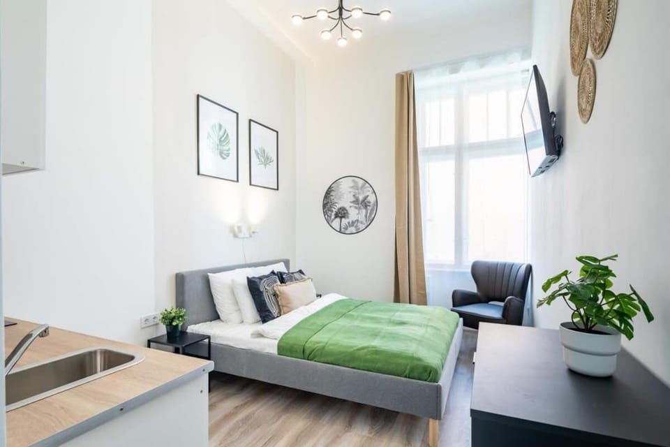 Ultra Central and Mini Studio Apartment in Budapest