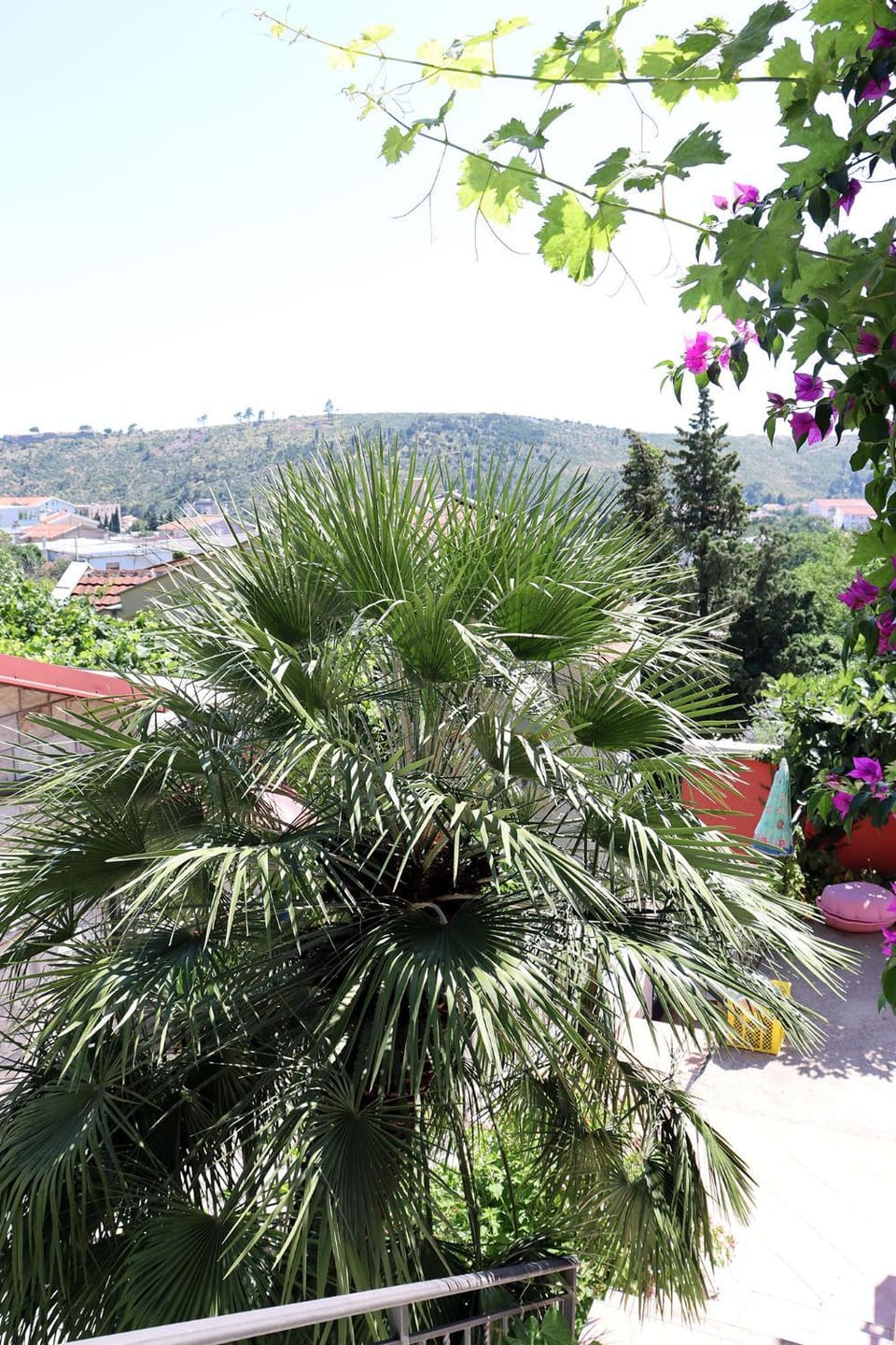 Teona-Apartments Apartment in Montenegro