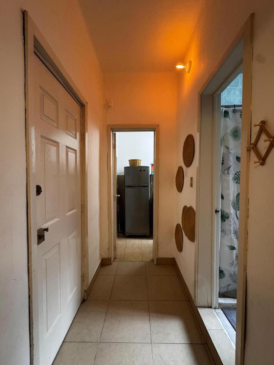nice, comfortable apartment in the middle of northern Rome Apartment in Mexico City