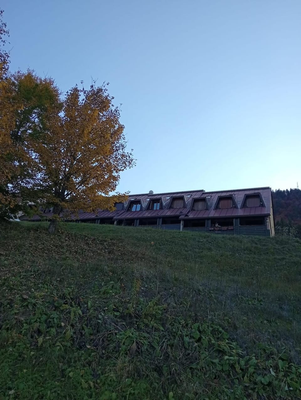 Property building, Garden view