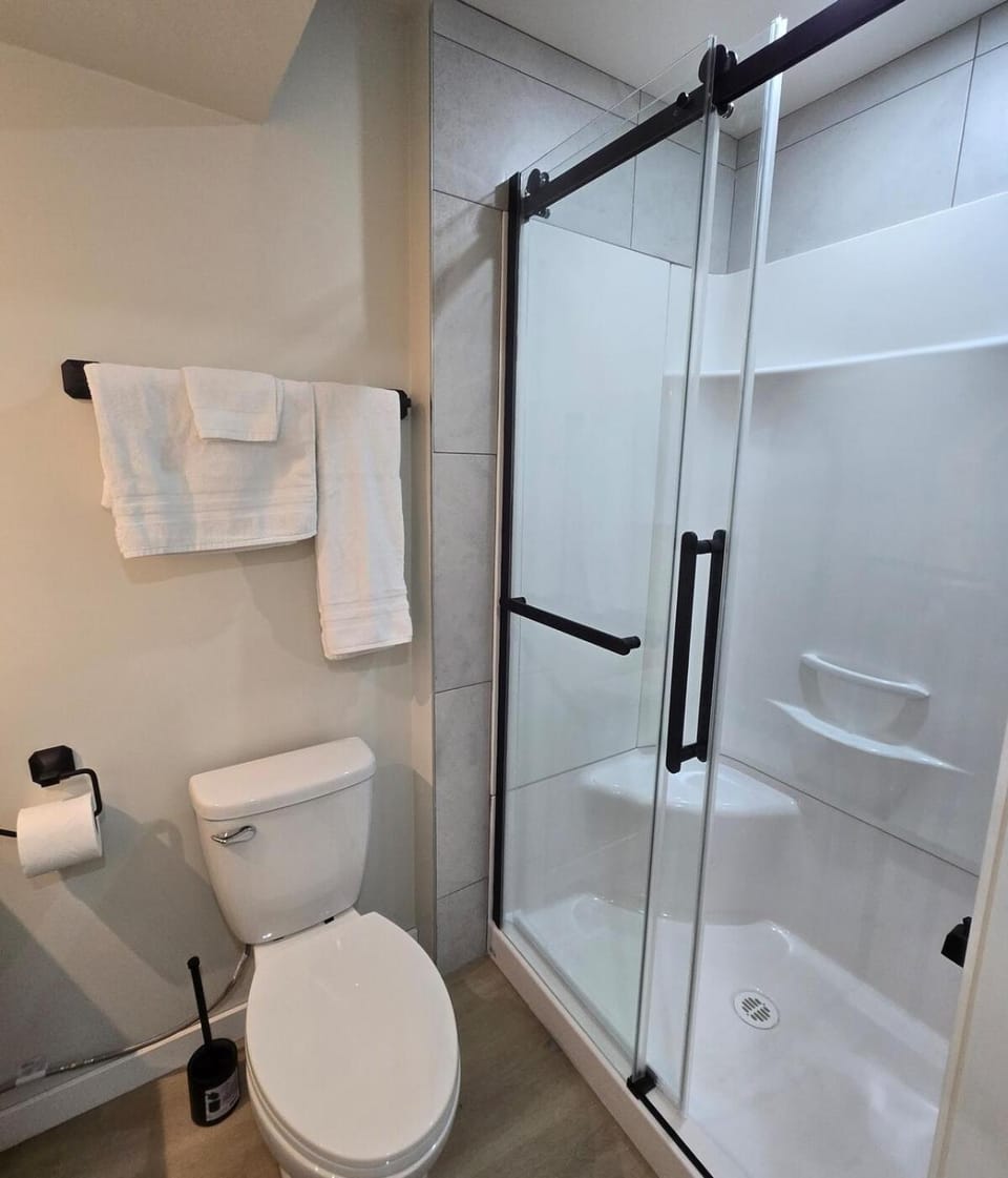 Shower, Toilet, Bathroom, towels