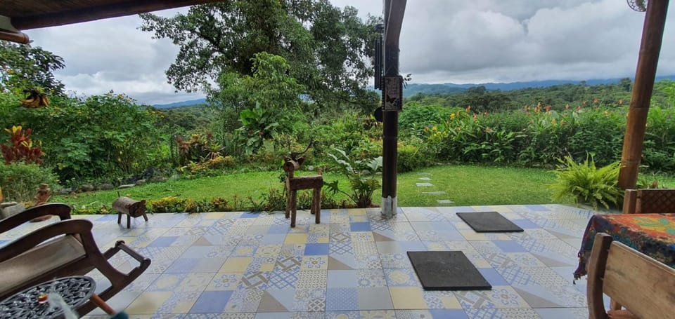 View (from property/room)