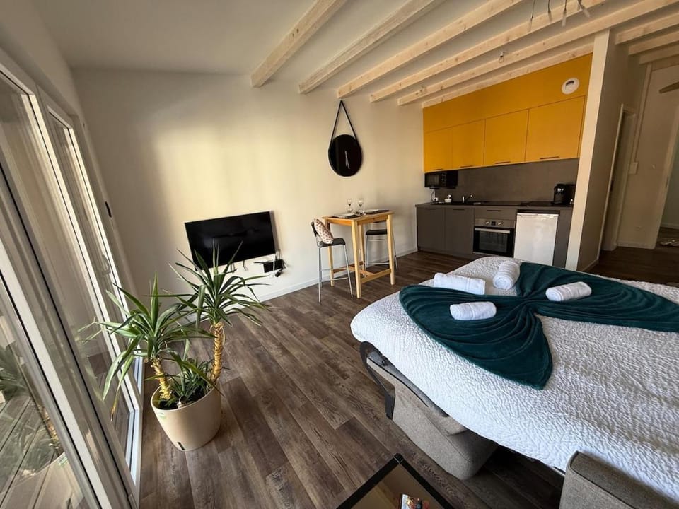 Studio lumineux avec terrasse Climatisé Apartment in Grand Est