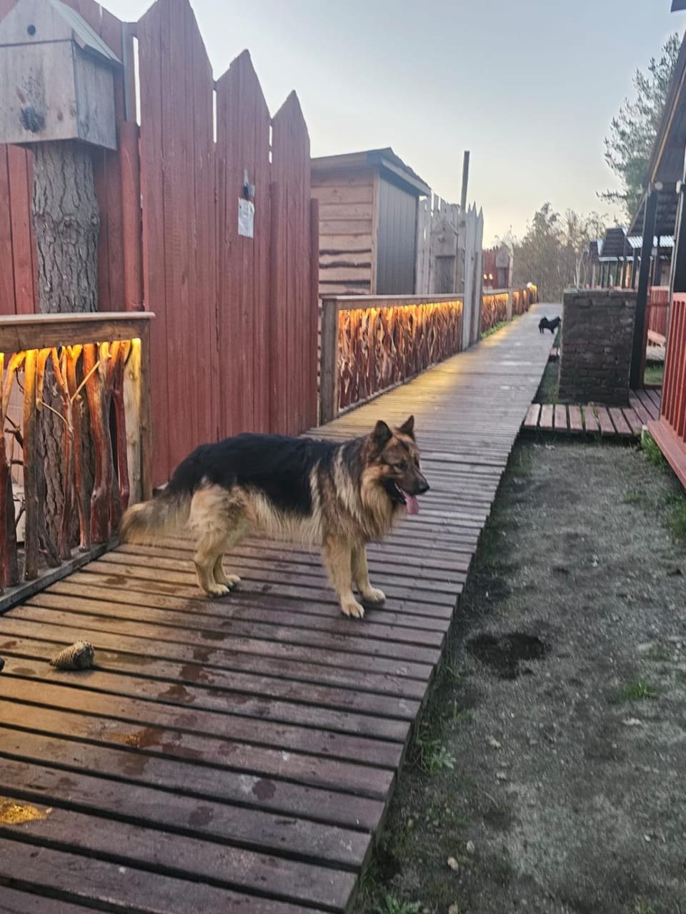 Camping Campeon Campground/ 
RV Resort in Bio Bio, Chile