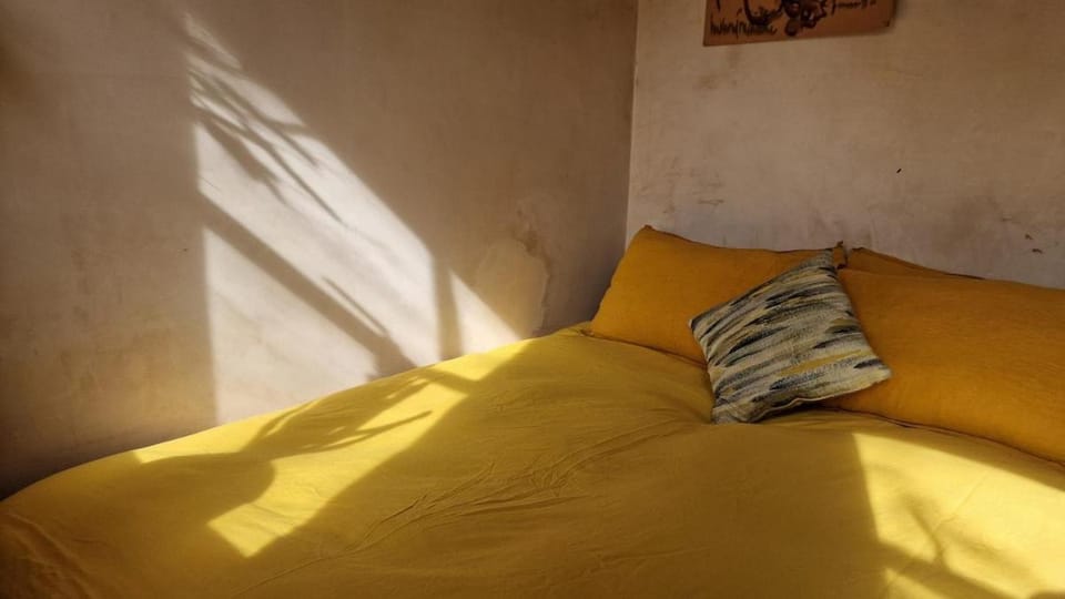 Private studio New Cross patio garden Apartment in London Borough of Southwark