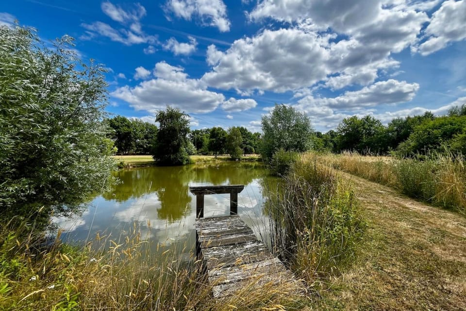 Family house with pond1h50 of Paris House in Centre-Val de Loire