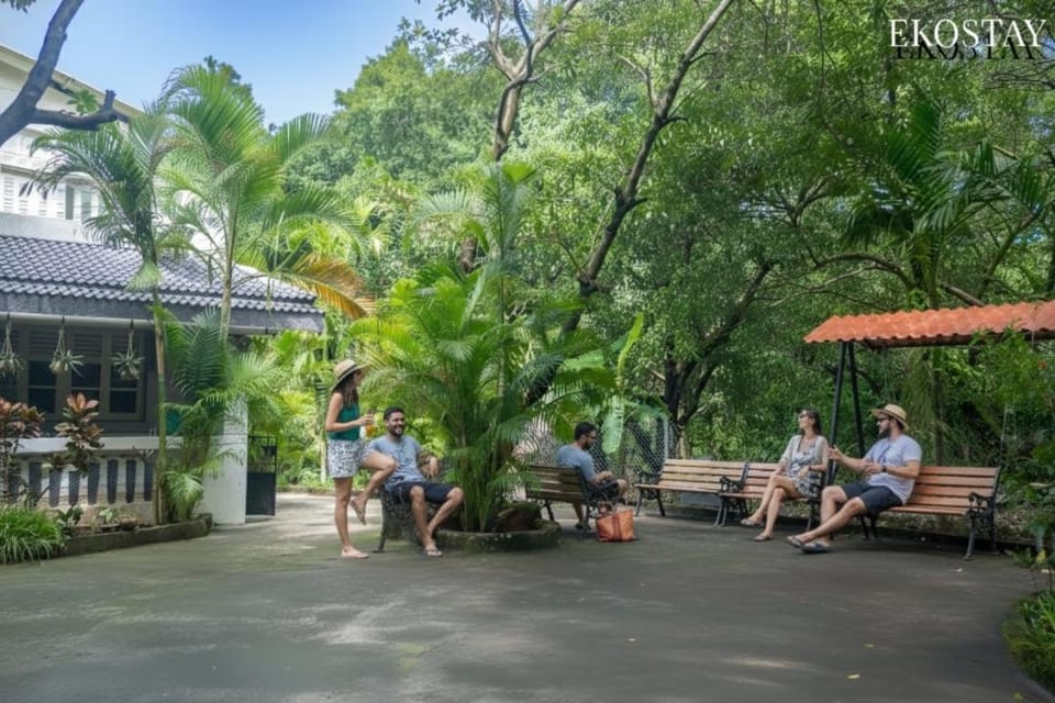 Spring, Day, People, Garden, Garden view, group of guests