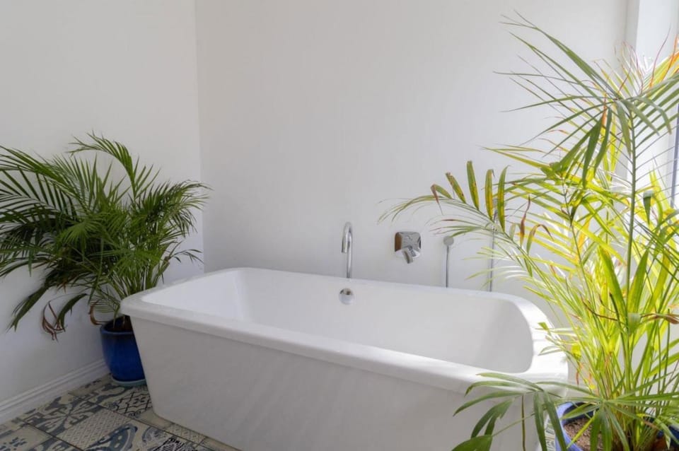 The Dream Holiday House Villa in Western Cape