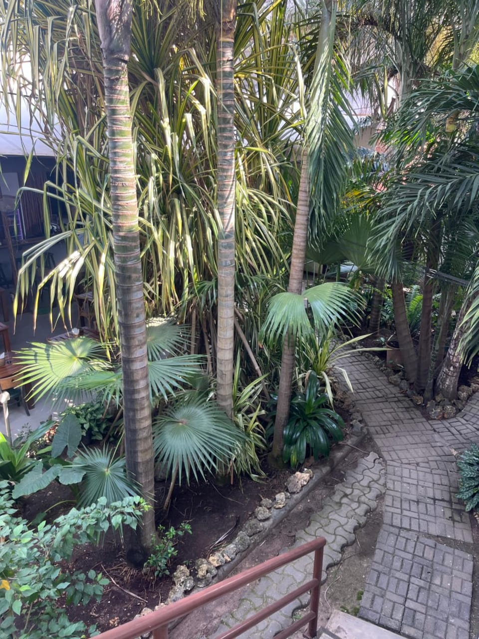 Natural landscape, Garden view