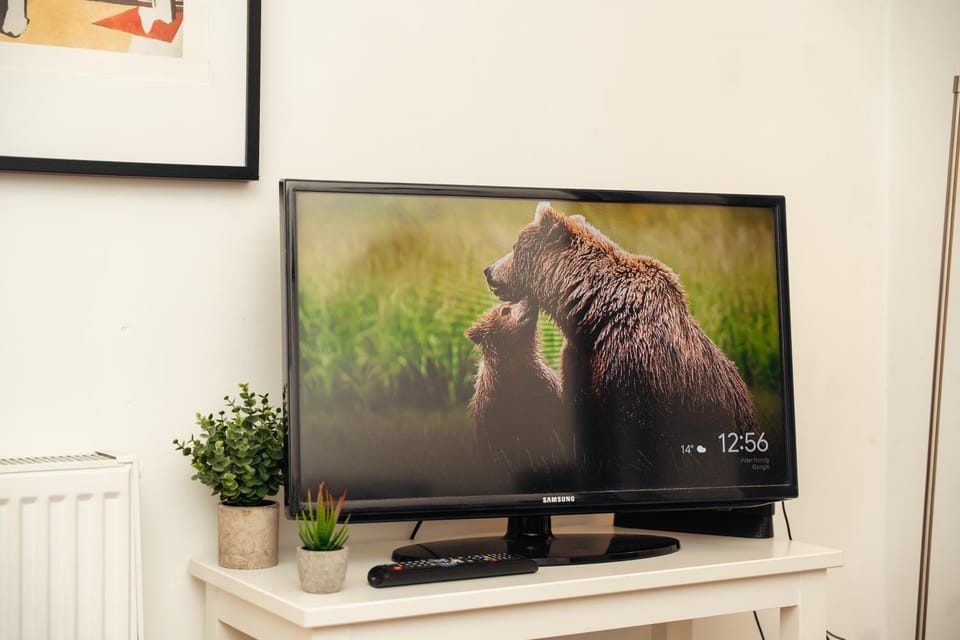 TV and multimedia
