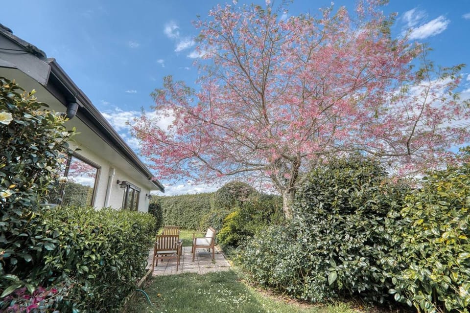 Stylish One-Tree-Hill Home - Entire House, Lucky U House in Auckland