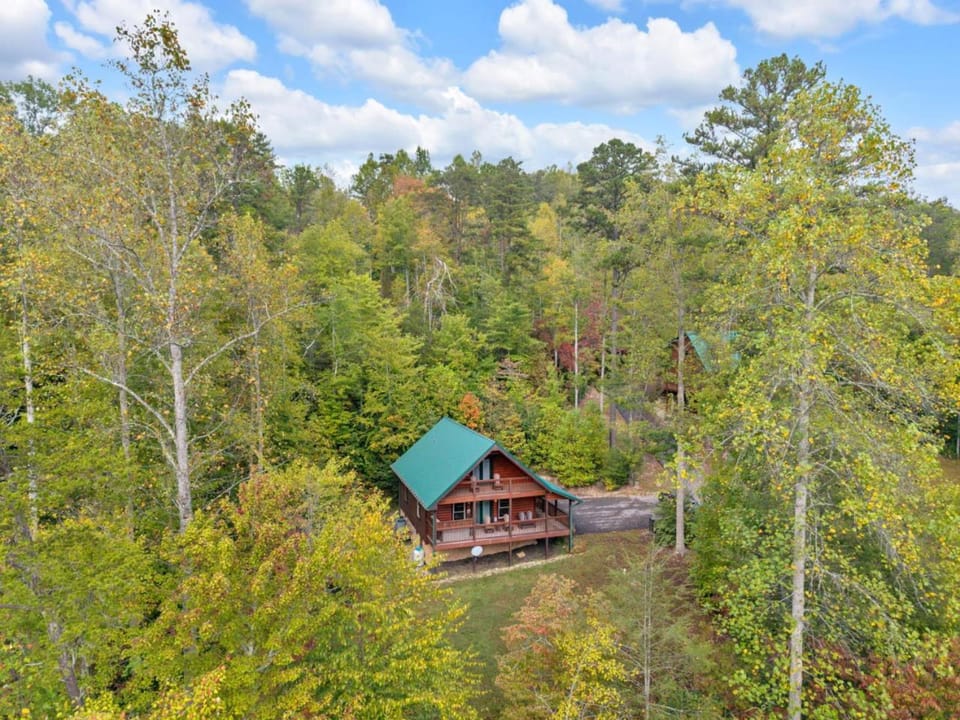 Peaceful Retreat Hot Tub Grill Fireplace MORE House in Sevier County