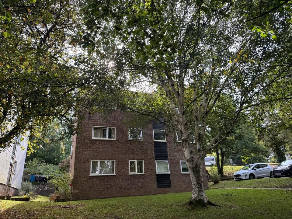 Property building, Spring, Day, Neighbourhood, Natural landscape, Garden
