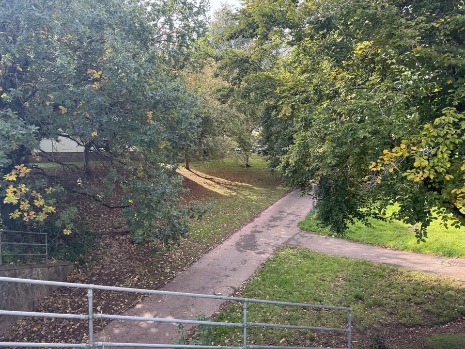 Garden view