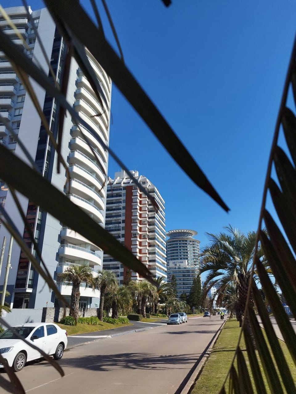 Apartamento en Punta del Este Apartment in Punta del Este