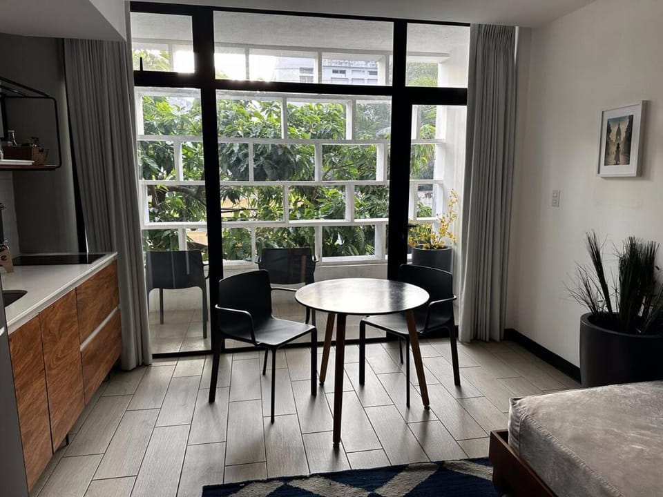 Gallery Studio 3 blocks from Central Park Apartment in Guatemala City