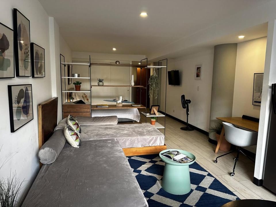 Gallery Studio 3 blocks from Central Park Apartment in Guatemala City