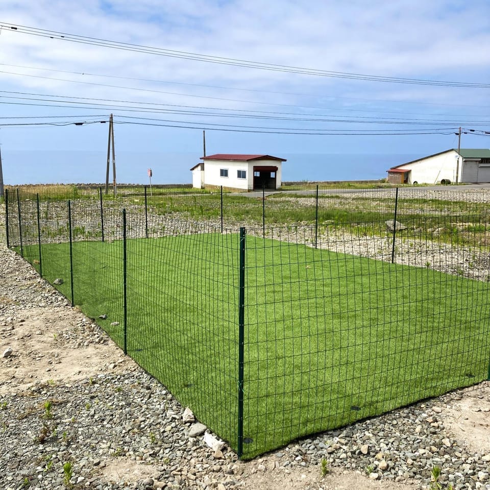 Property building, Day, On site, Area and facilities, pet friendly