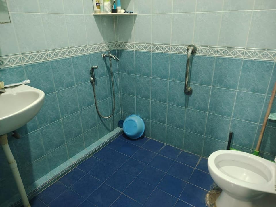 Shower, Toilet, Bathroom, bidet