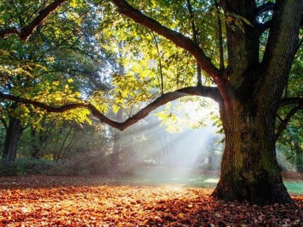 Appart cosy 70 m2 2 chambres tout confort 4 personnes Apartment in Centre-Val de Loire