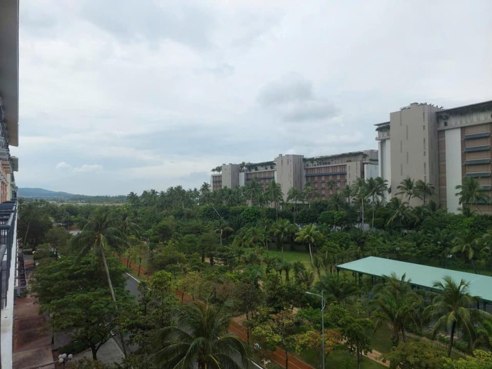 Garden view