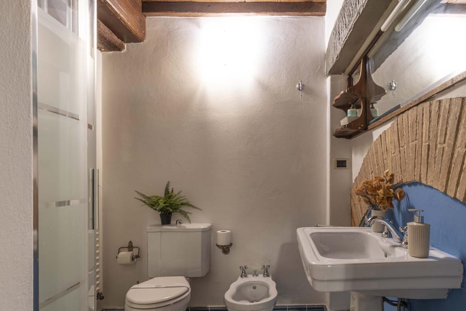 Toilet, Bathroom, bidet
