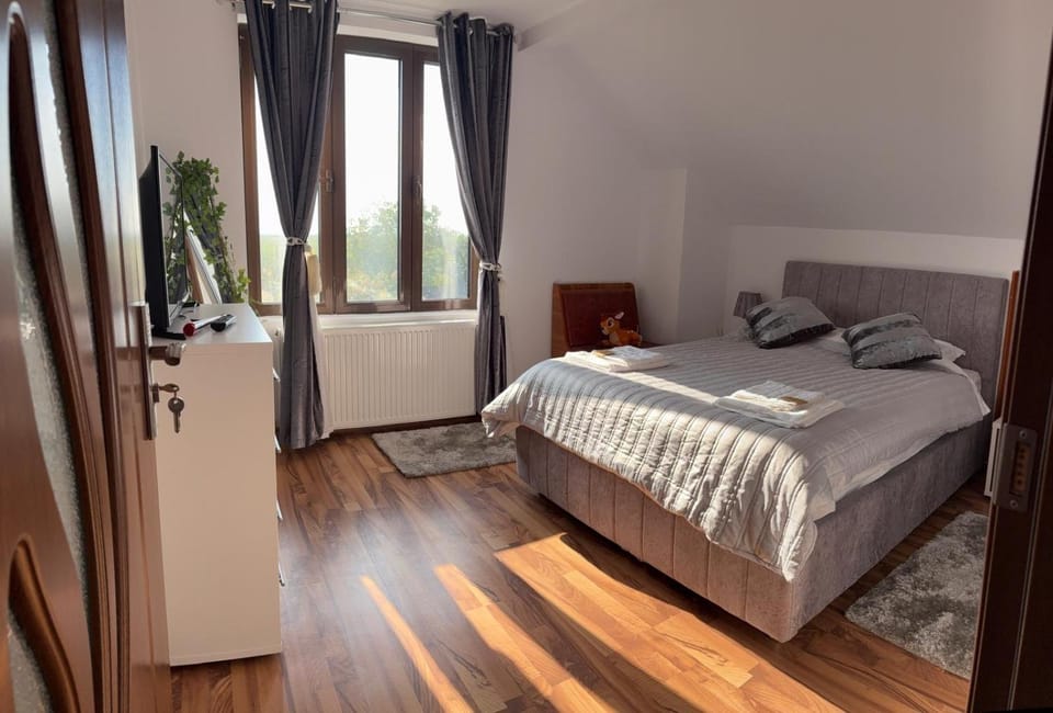 Casa Alecu Bed and Breakfast in Moldova
