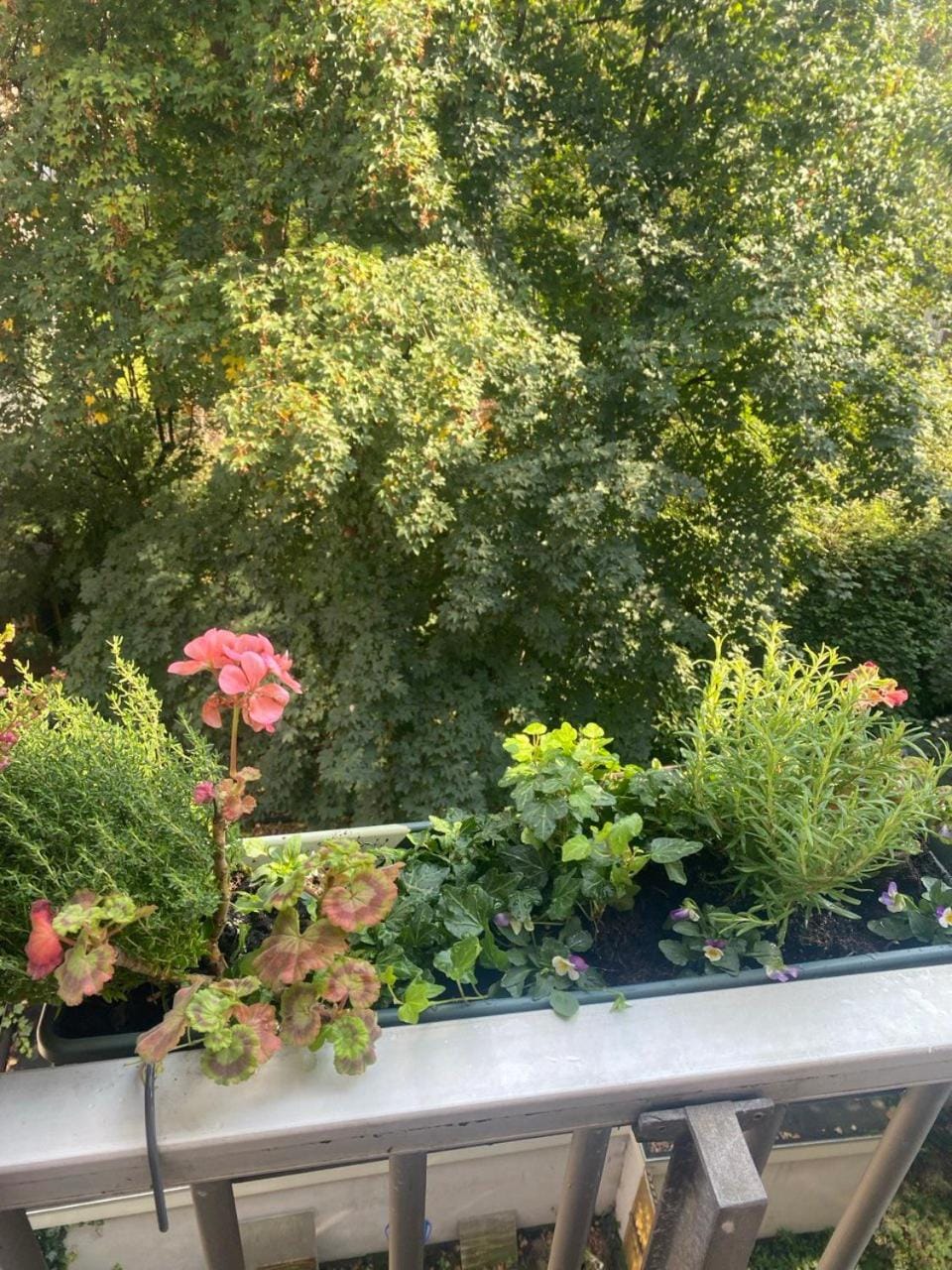 View (from property/room)
