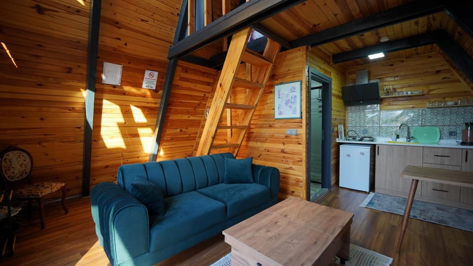 TV and multimedia, Kitchen or kitchenette, Living room, Seating area, Dining area