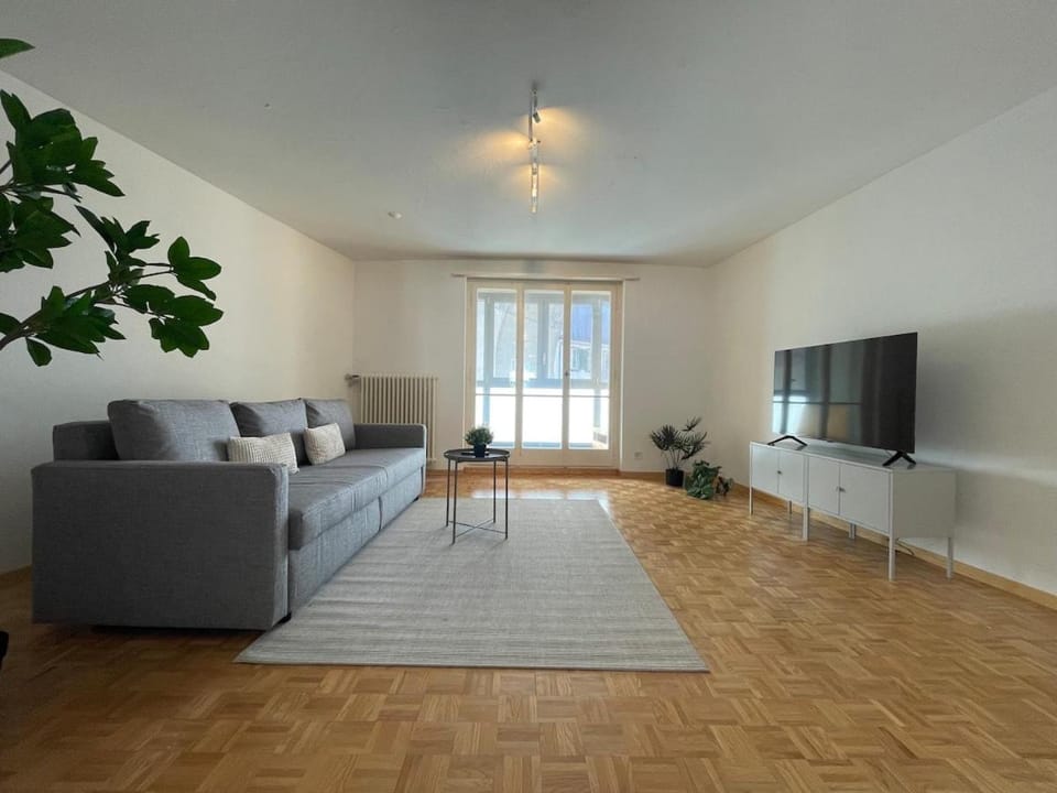Rheinblick Apartment in Altstadt Nähe Apartment in Schaffhausen