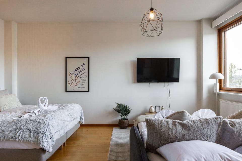 Bed, TV and multimedia, Living room, Photo of the whole room