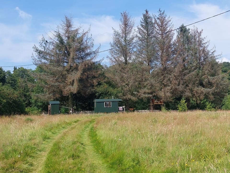 Shepherd's Hut Harmony at A Therapeutic Space Campground/ 
RV Resort in Scotland