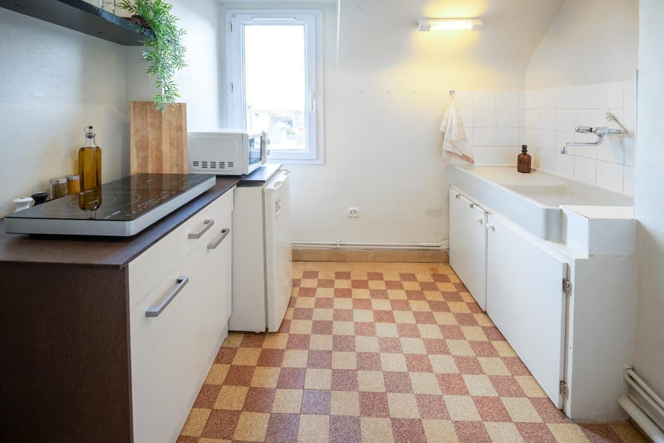 L'Écrin Saumurois - T3 Confort et Charme Île Offard Apartment in Saumur