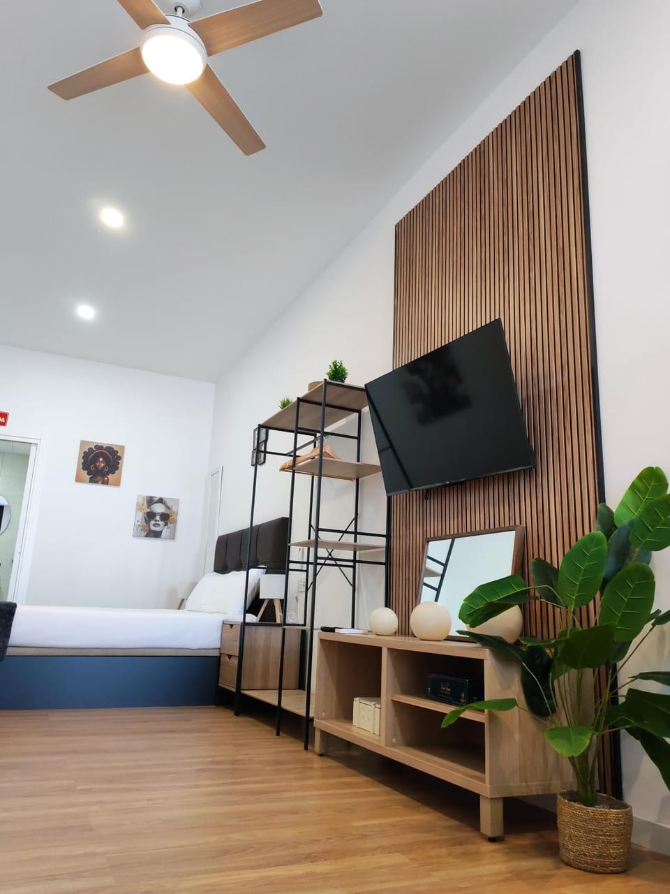 TV and multimedia