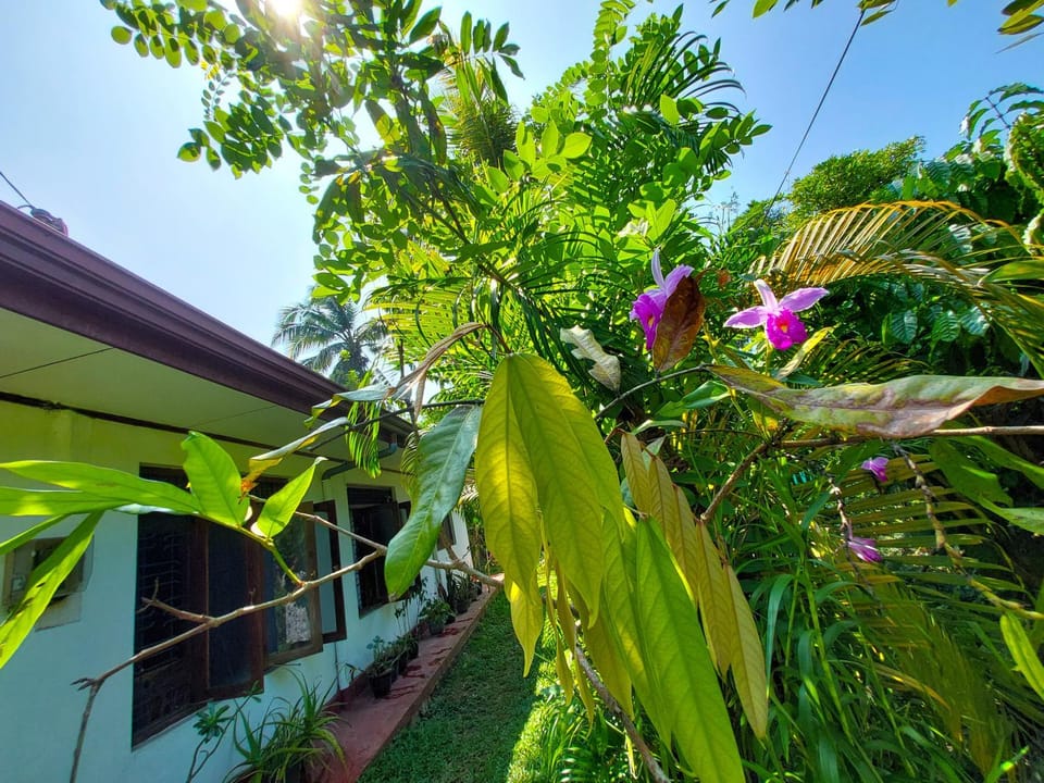 Golden Breeze Villa Bentota Villa in Western Province