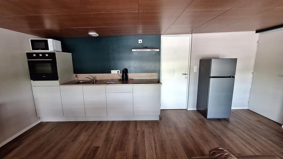 Kitchen or kitchenette, oven, stove