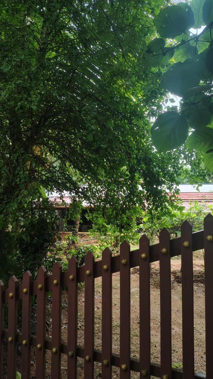 Garden, Garden, Garden view