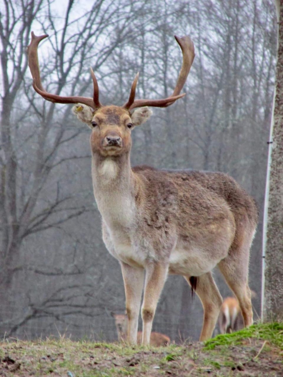 View (from property/room), Animals