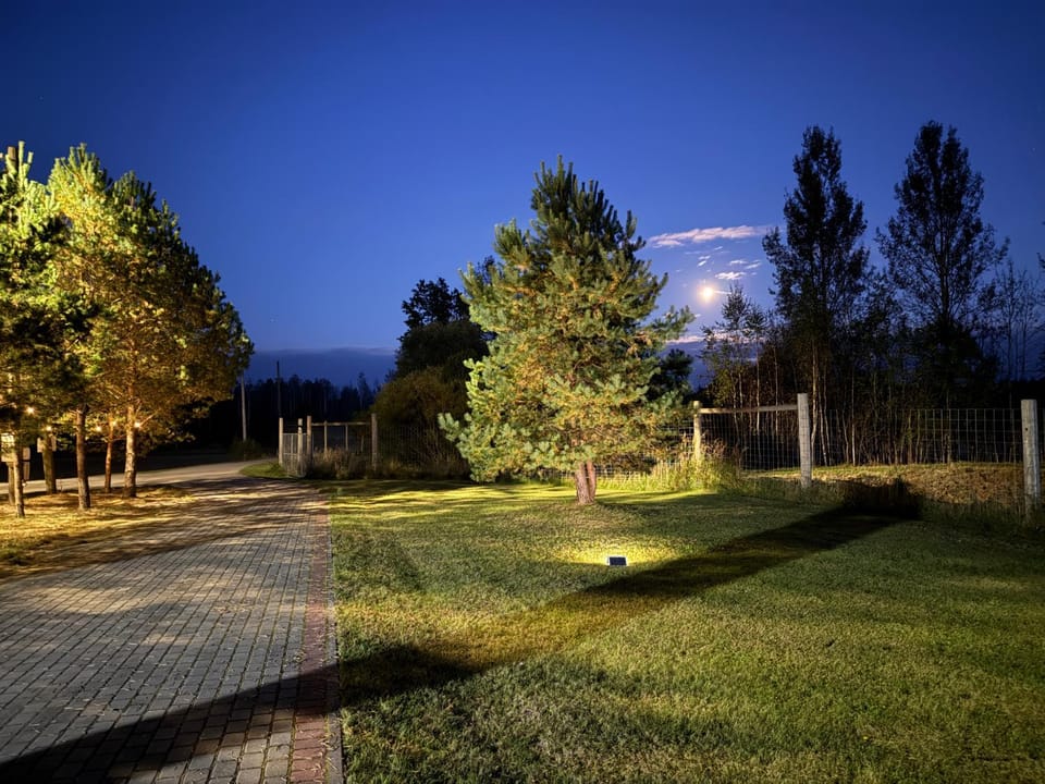 Night, Natural landscape, Garden, Garden view