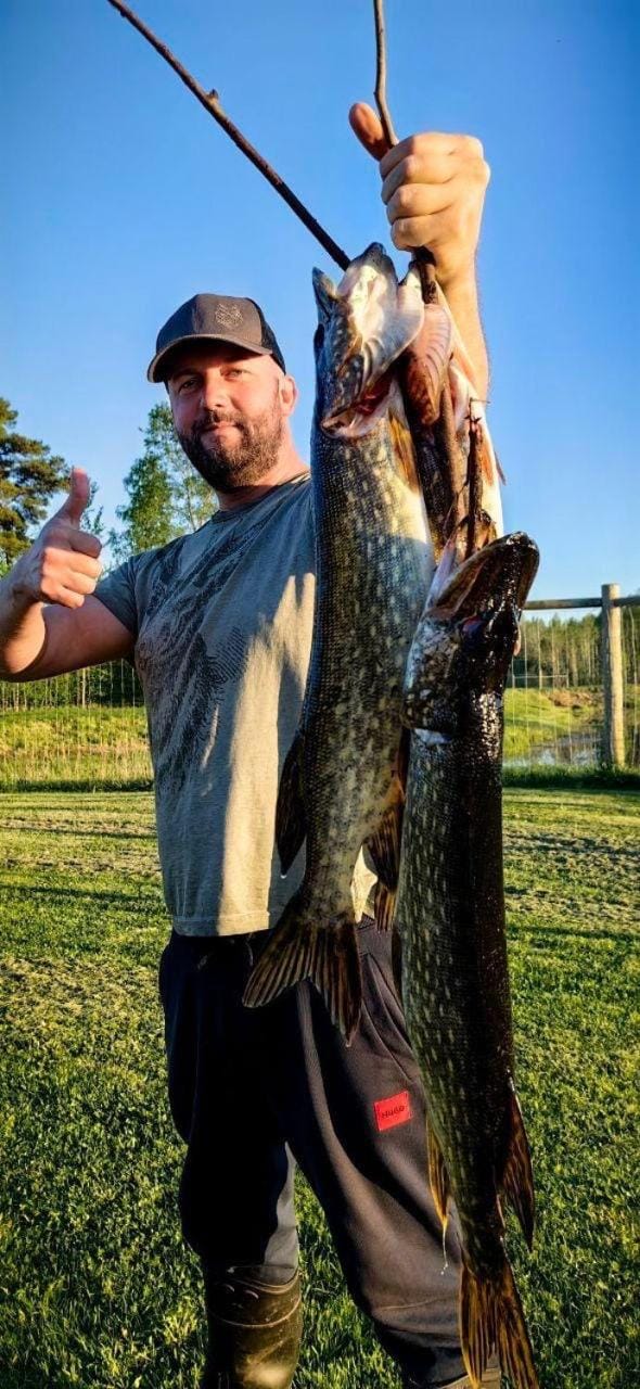 Activities, Fishing, Animals