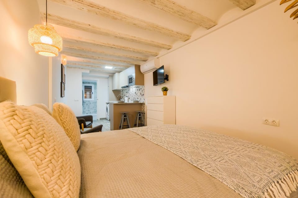 Acogedor y céntrico Estudio 2 Apartment in Barcelona