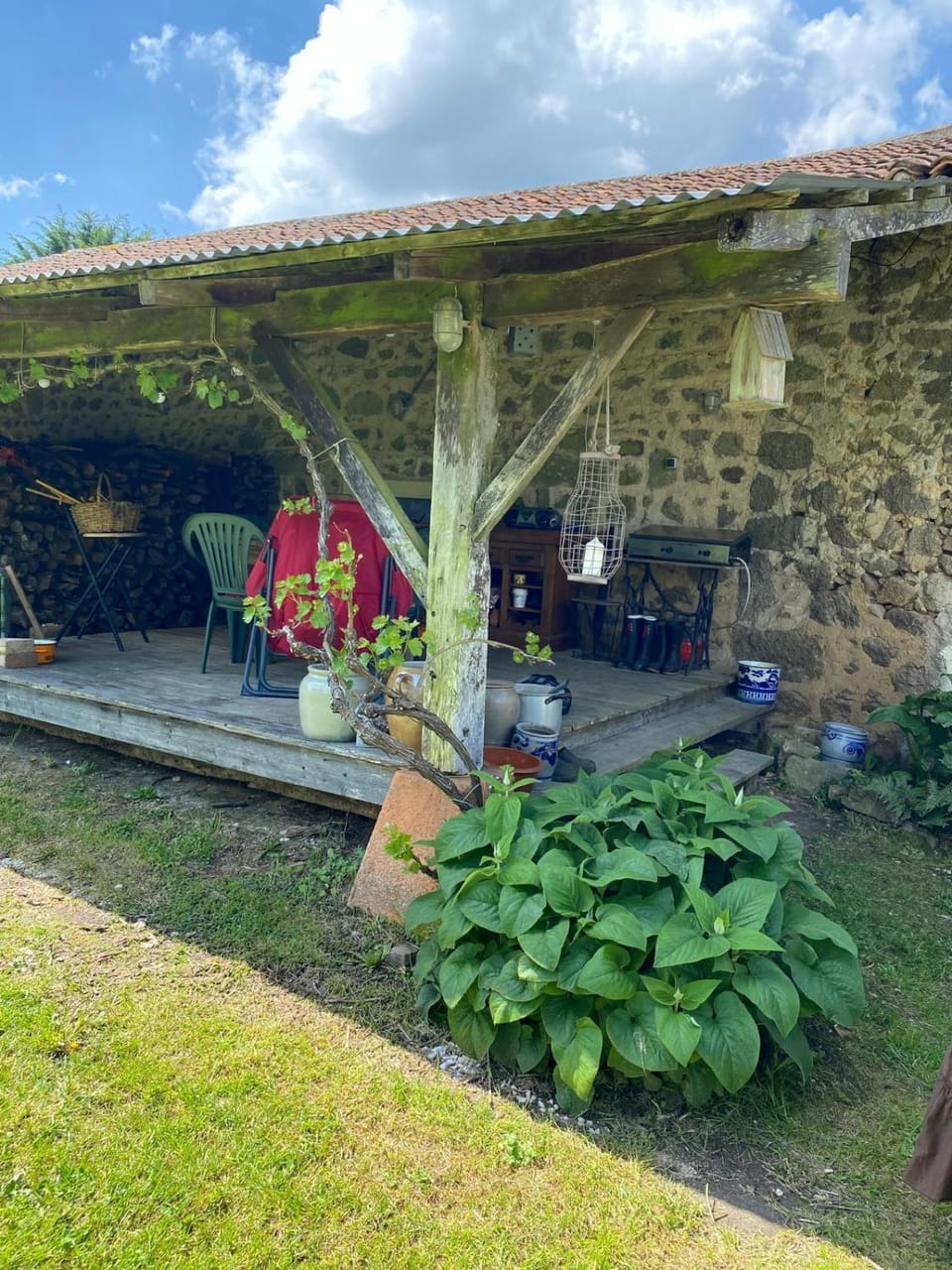 Garden view
