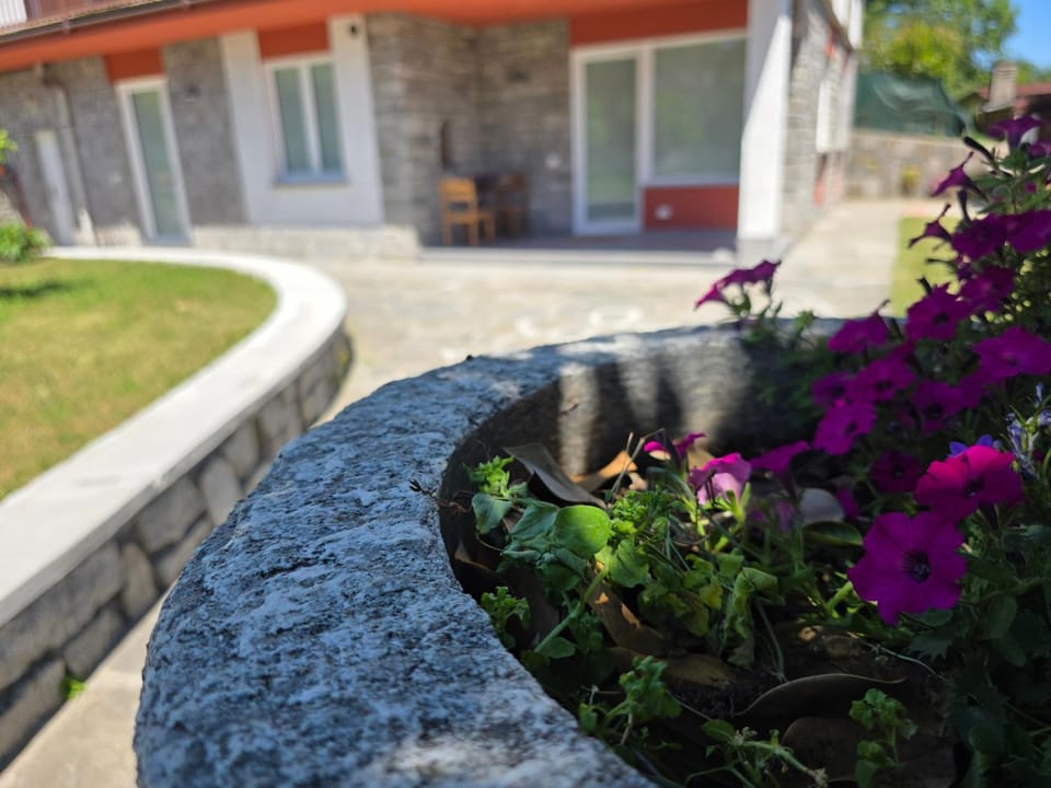 Casa Paolina Apartment in Canton of Ticino