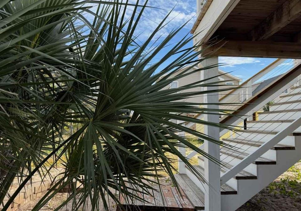 Garden, Garden view